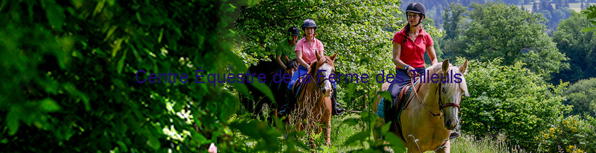 Centre Équestre de la Ferme des Tilleuls